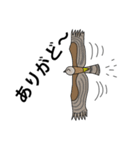 バードウオッチャーの会話パート7（個別スタンプ：3）