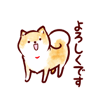 あたちたちのもっちり柴犬 日常（個別スタンプ：2）