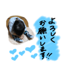 大也スタンプ（個別スタンプ：2）