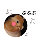 うさぎのララさん4（個別スタンプ：1）