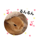 うさぎのララさん4（個別スタンプ：2）