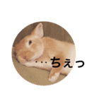うさぎのララさん4（個別スタンプ：11）