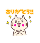 ほちゃねこ＊2  日常つかえるシリーズ（個別スタンプ：1）