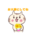 ほちゃねこ＊2  日常つかえるシリーズ（個別スタンプ：9）