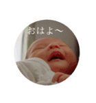 あにまるず〜やまつむ〜（個別スタンプ：5）