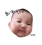 hikahikahikahika（個別スタンプ：11）