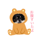 ままのつくったスタンプです（個別スタンプ：6）
