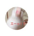 あきさく（個別スタンプ：2）