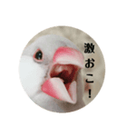 あきさく（個別スタンプ：4）