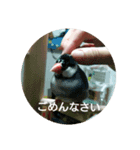 あきさく（個別スタンプ：5）