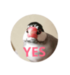 あきさく（個別スタンプ：6）
