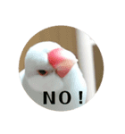 あきさく（個別スタンプ：7）