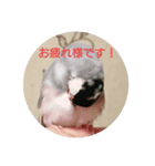 あきさく（個別スタンプ：8）