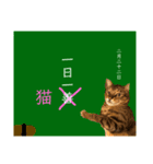 猫、いろいろ言う（個別スタンプ：9）