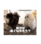 我が家のエンジェルズ2（個別スタンプ：31）