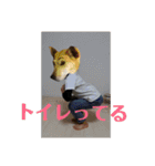 犬人間9（個別スタンプ：11）