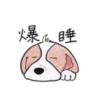 色えんぴつで描いたもふもふわんこ（個別スタンプ：8）