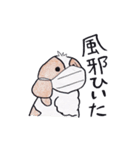 色えんぴつで描いたもふもふわんこ（個別スタンプ：13）
