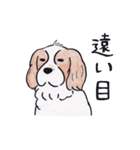 色えんぴつで描いたもふもふわんこ（個別スタンプ：19）