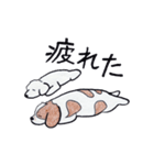 色えんぴつで描いたもふもふわんこ（個別スタンプ：25）