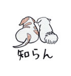 色えんぴつで描いたもふもふわんこ（個別スタンプ：39）