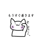 晁直さんがすきなねこ（個別スタンプ：11）