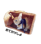 うさぎのSpicaスタンプ（個別スタンプ：25）