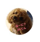 JILVAL スタンプ（個別スタンプ：3）