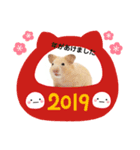 年明けハムちゃん（個別スタンプ：1）
