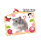 年明けハムちゃん（個別スタンプ：2）