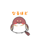 まゆどりちゃん（個別スタンプ：12）