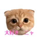 龍吉がゆく（個別スタンプ：2）