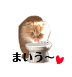 龍吉がゆく（個別スタンプ：7）