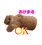 龍吉がゆく（個別スタンプ：9）