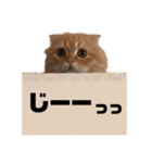 龍吉がゆく（個別スタンプ：17）
