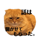 龍吉がゆく（個別スタンプ：22）