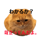 龍吉がゆく（個別スタンプ：23）