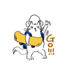 DJねこ（個別スタンプ：38）