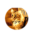 konatsu2（個別スタンプ：2）