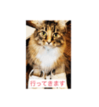 konatsu2（個別スタンプ：4）