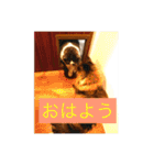 konatsu2（個別スタンプ：6）
