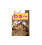 konatsu2（個別スタンプ：8）