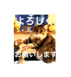konatsu2（個別スタンプ：12）