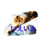 konatsu2（個別スタンプ：13）