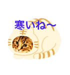 konatsu2（個別スタンプ：14）
