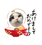 konatsu2（個別スタンプ：15）