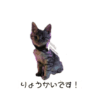 めんま.com（個別スタンプ：3）