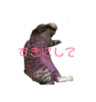 めんま.com（個別スタンプ：8）