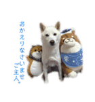 茶瑠すたんぷ。（個別スタンプ：3）
