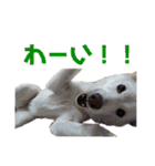 茶瑠すたんぷ。（個別スタンプ：9）